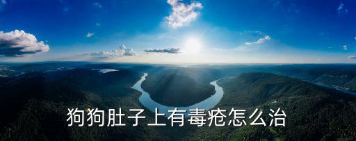 狗狗肚子上有毒瘡怎么治