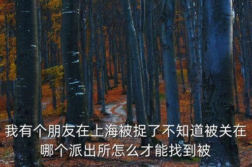 我有個朋友在上海被捉了不知道被關在哪個派出所怎么才能找到被