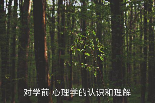 對學前 心理學的認識和理解