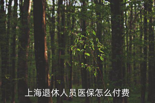 上海市退休職工大病繳費，上海退休工人交醫療金