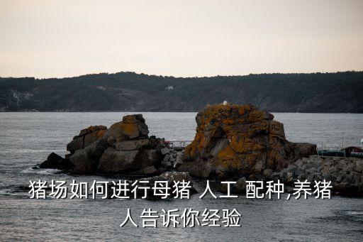 人工配種,人工授精是指通過人工方法采集公羊精液并輸入生殖道
