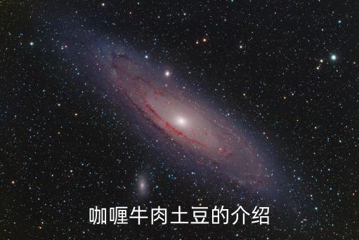 咖喱牛肉土豆的介紹