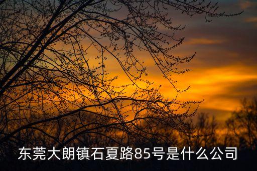 東莞大朗鎮(zhèn)石夏路85號是什么公司