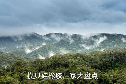 模具硅橡膠廠家大盤點