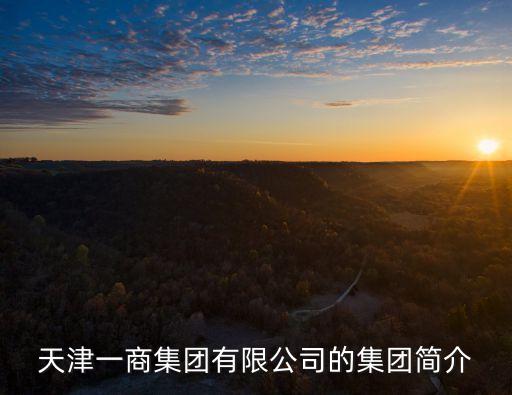 天津一商集團有限公司的集團簡介