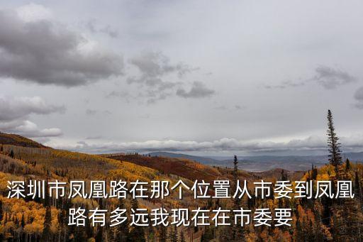 深圳市鳳凰路在那個位置從市委到鳳凰路有多遠我現在在市委要