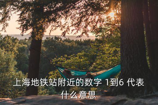 上海地鐵站附近的數(shù)字 1到6 代表什么意思