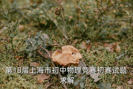 上海市初中物理試卷及答案，滬教版八年級物理題