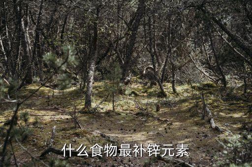 什么食物最補鋅元素