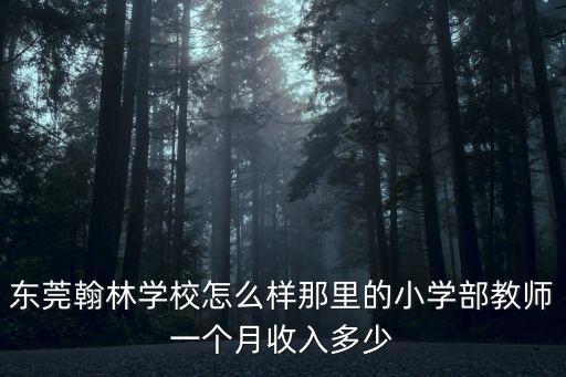 東莞翰林學校怎么樣那里的小學部教師一個月收入多少