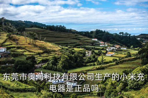 東莞市奧海科技有限公司生產(chǎn)的小米充電器是正品嗎