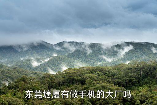 東莞塘廈有做手機的大廠嗎