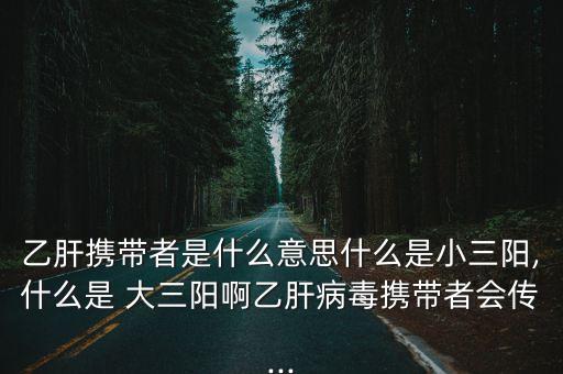 什么是大三陽,大三陽病毒偏高診斷主要看兩個因素