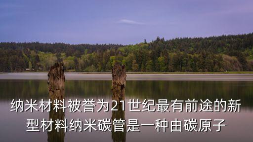 納米材料被譽為21世紀最有前途的新型材料納米碳管是一種由碳原子