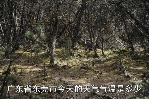 東莞市昌平區(qū)天氣預(yù)報(bào)，廣東省東莞市天氣預(yù)報(bào)