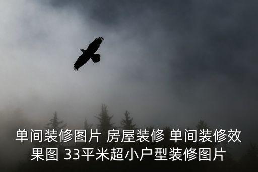 東莞新會房屋裝修設(shè)計圖，單間裝修圖片 房屋裝修 單間裝修效果圖 33平米超小戶型裝修圖片