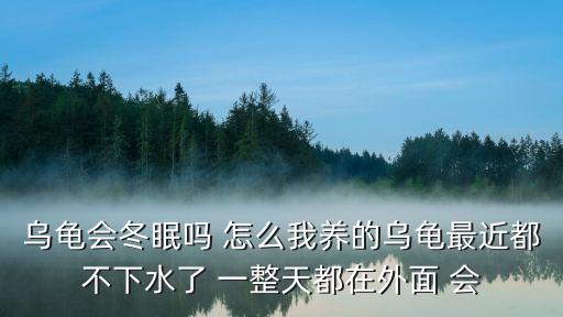 高賭鋅評純 東莞國岸美滿，烏龜會冬眠嗎 怎么我養的烏龜最近都不下水了 一整天都在外面 會