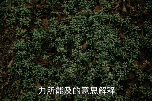 力所能及的意思,力所能及