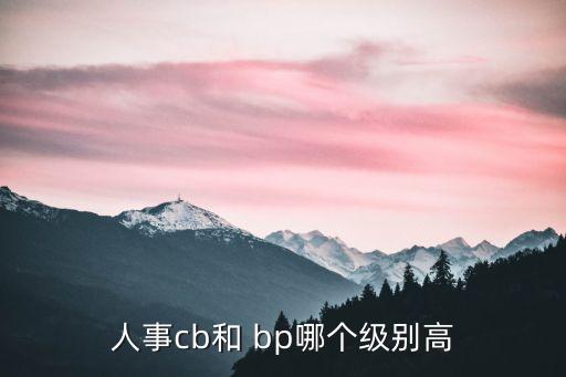 公司bp,中國(guó)公司財(cái)務(wù)bp的崗位職責(zé)大部分處于探索階段