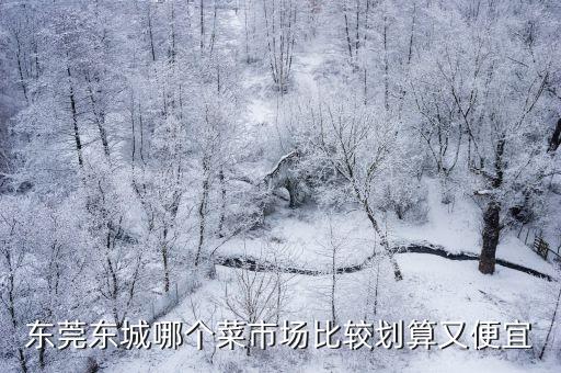 東莞菜價走勢最新，東莞東城哪個菜市場比較劃算又便宜