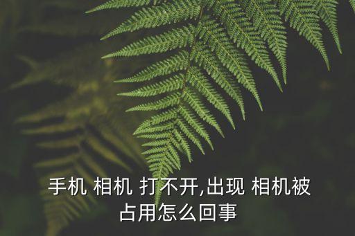 手機相機打不開,手機充電不足或關(guān)機重啟三步驟:先檢查再嘗試