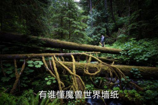 魔獸壁紙，有誰懂魔獸世界墻紙