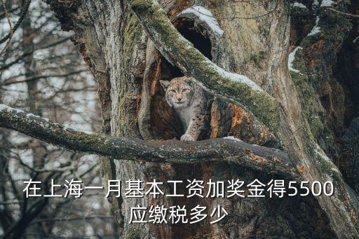 上海市獎金交稅，在上海一月基本工資加獎金得5500應繳稅多少
