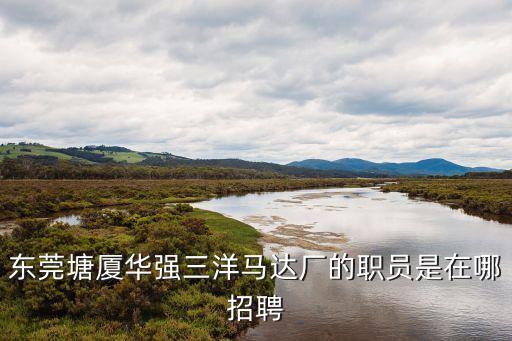東莞塘廈華強三洋馬達廠的職員是在哪招聘