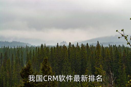我國CRM軟件最新排名