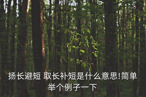 揚長避短 取長補短是什么意思!簡單舉個例子一下