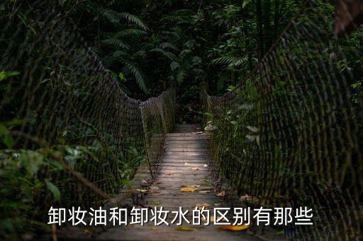 卸妝水和卸妝油的區別，卸妝油和卸妝水的區別
