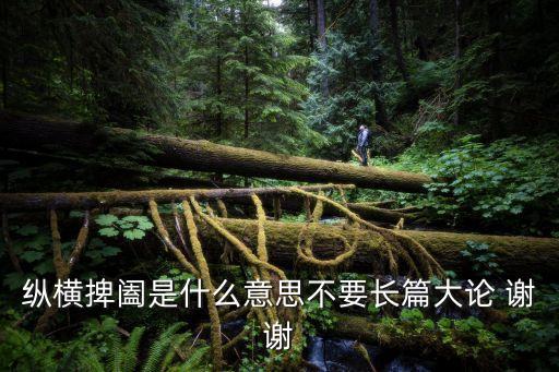縱橫捭闔是什么意思不要長篇大論 謝謝