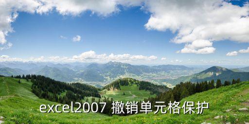 excel2007 撤銷單元格保護