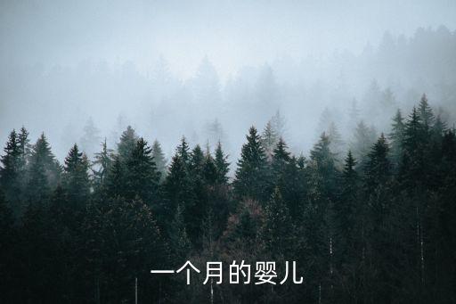 一月齡寶寶，一個(gè)月的寶寶