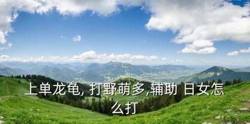 上單龍龜, 打野萌多,輔助 日女怎么打