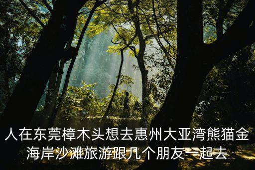 東莞黃金海岸門票多少錢，我在大霞美鎮(zhèn)坐幾路車可以去到石獅黃金海岸
