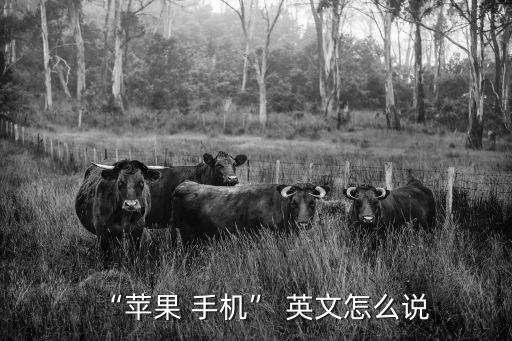 “蘋果 手機” 英文怎么說