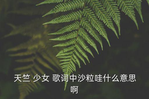  天竺 少女 歌詞中沙粒哇什么意思啊