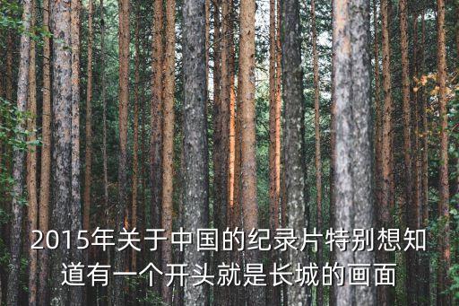 鳥瞰中國紀錄片，2015年關于中國的紀錄片特別想知道有一個開頭就是長城的畫面