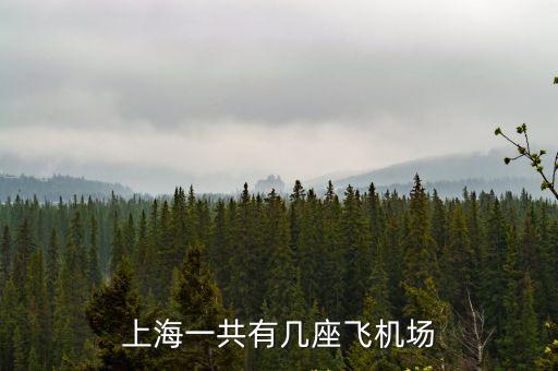 上海一共有幾座飛機場