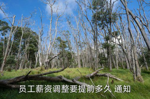 調(diào)薪通知,未經(jīng)員工同意公司單方調(diào)整崗位無效