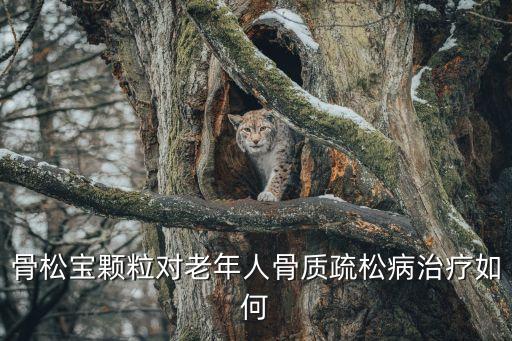 骨松寶顆粒對老年人骨質疏松病治療如何