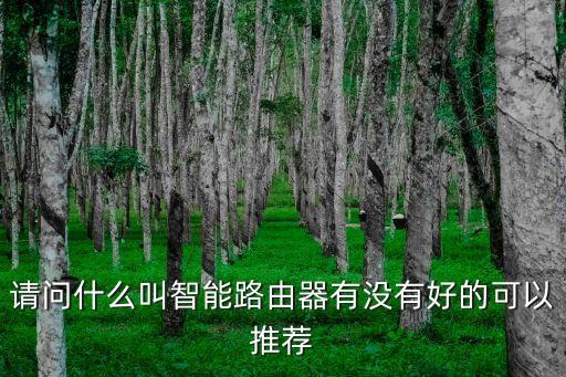智能路由器，請問什么叫智能路由器有沒有好的可以推薦