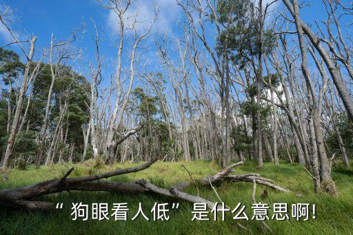 狗眼看人低,狗眼看人low引發(fā)歧視引發(fā)網(wǎng)民不滿