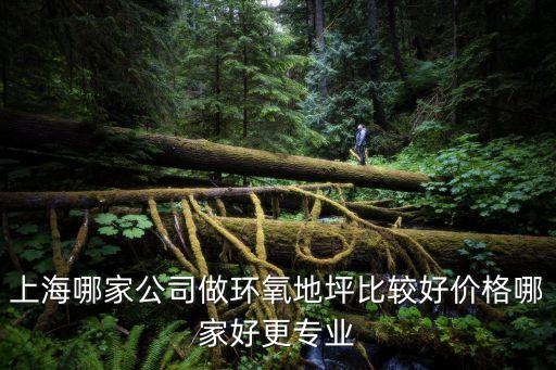 上海哪家公司做環氧地坪比較好價格哪家好更專業