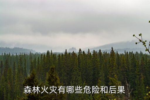 山火的危害,森林火災預防措施有哪些?