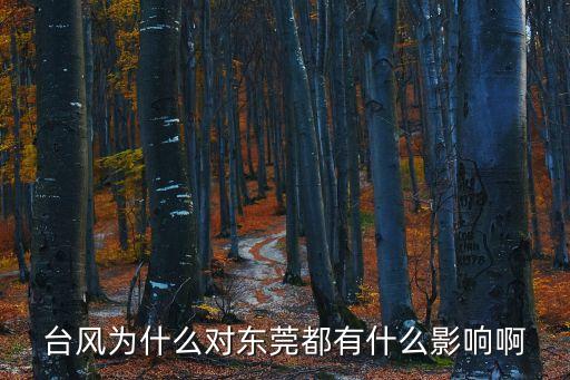 臺(tái)風(fēng)為什么對(duì)東莞都有什么影響啊
