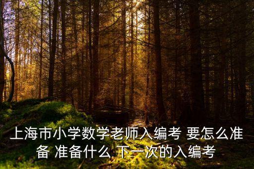 上海市小學數學老師入編考 要怎么準備 準備什么 下一次的入編考