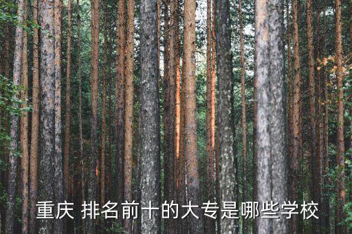 重慶專科學校排名