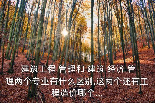  建筑工程 管理和 建筑 經(jīng)濟(jì) 管理兩個(gè)專業(yè)有什么區(qū)別,這兩個(gè)還有工程造價(jià)哪個(gè)...